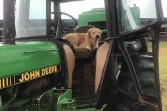 BD736CF9-65C9-4CCD-B8D8-08A88B0F91EE